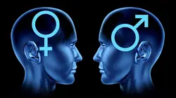 Les docs de Maïa Mazaurette