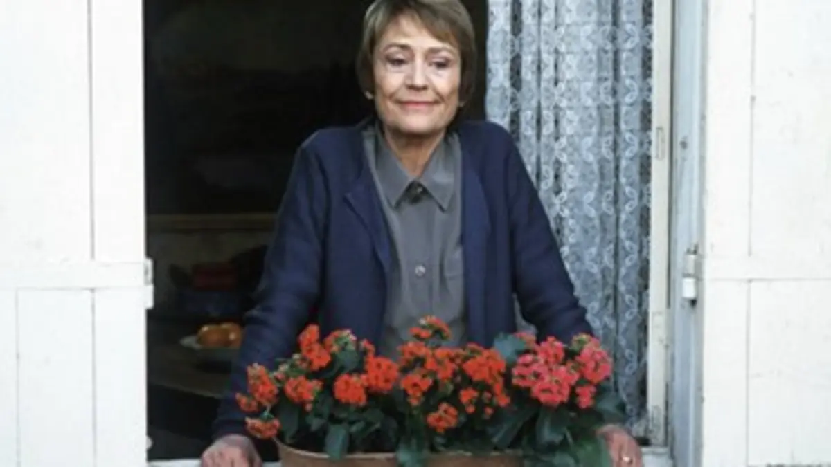 Les fleurs de Maureen