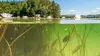 2024 • Les lacs d'Allemagne : Les eaux du Nord