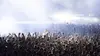 2023 • Les meilleurs moments du Festival de Glastonbury 2023