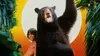 1997 • Les nouvelles aventures de Mowgli
