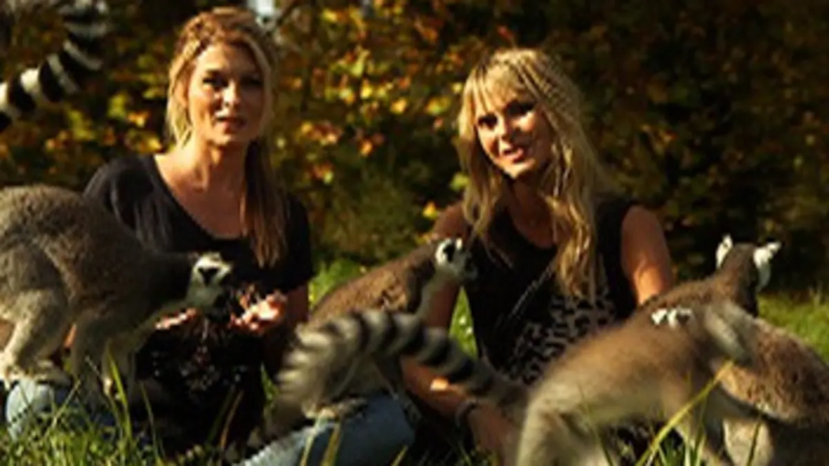 Casting Les petits animaux de la 8