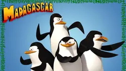 Les Pingouins de Madagascar