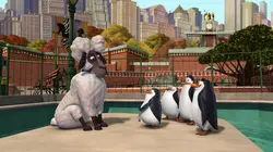 Les Pingouins de Madagascar