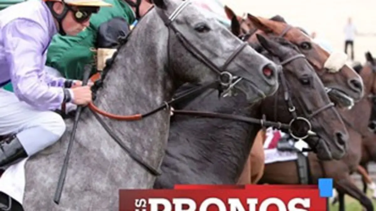 Les pronos du quinté+