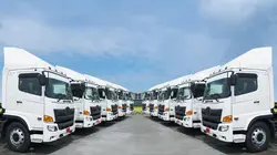 Les reines de la route