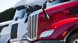 Les reines de la route