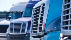 Les reines de la route