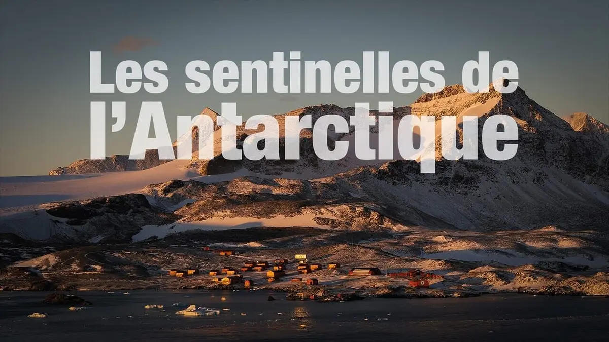 Casting Les sentinelles de l'Antarctique