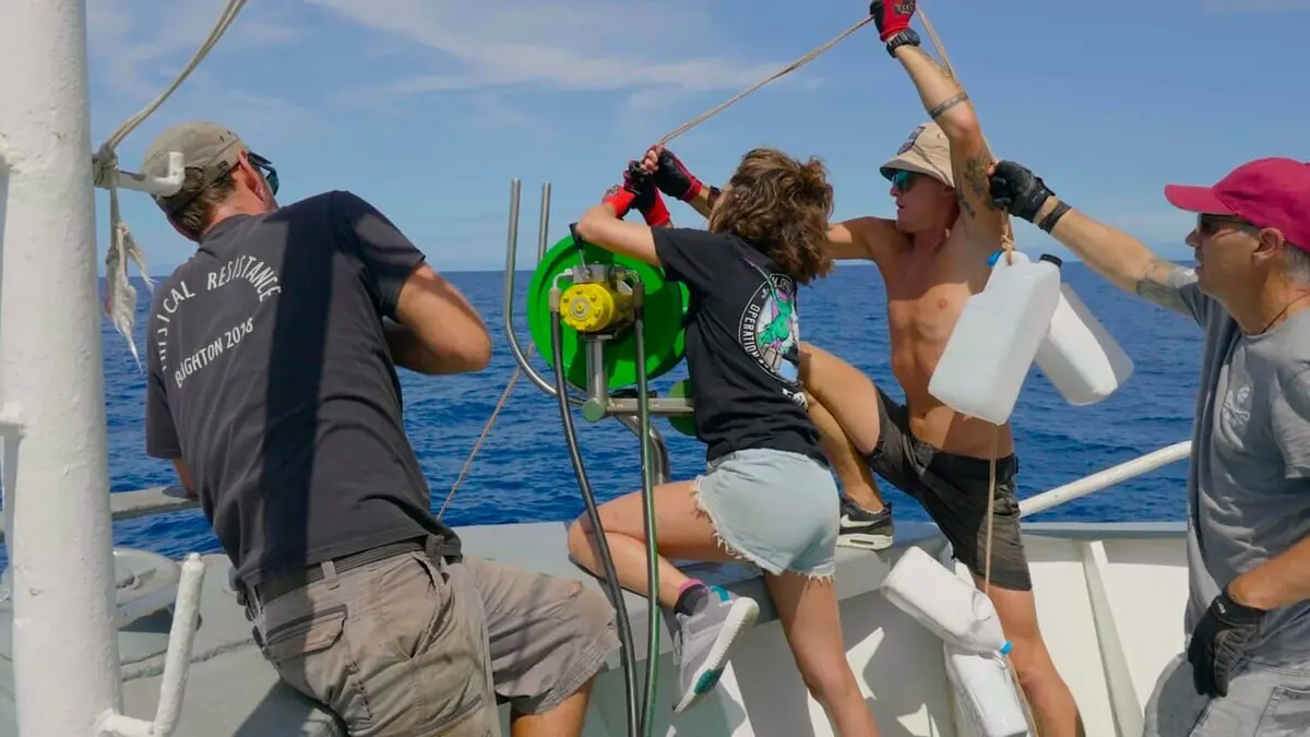 Les sentinelles de la mer