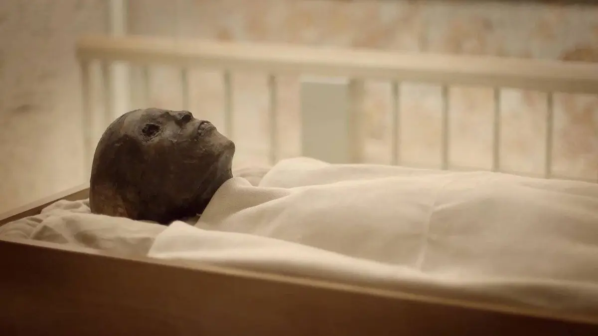 Casting Les trésors cachés de Toutankhamon