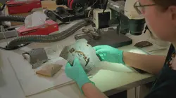 Les trésors perdus de Rome