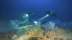 Les trésors perdus de Rome