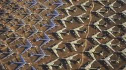 Machines de guerre Armes de destruction massive