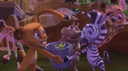 Madagascar : la savane en délire