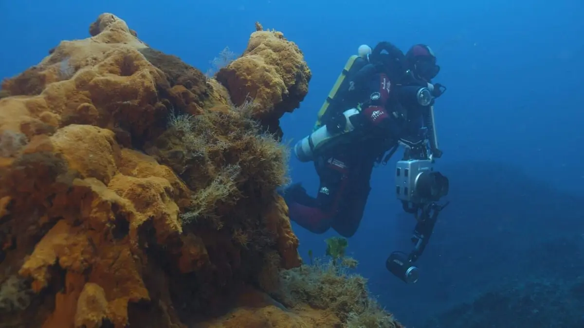 Méditerranée : La Face Immergée Des Volcans (Documentaire) Où Regarder ...