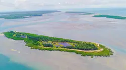 Merveilles de la nature