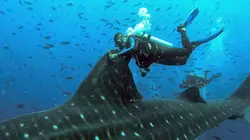 Merveilles de la nature