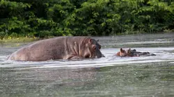 Merveilles de la nature