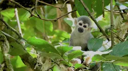 Merveilles de la nature