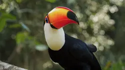 Merveilles de la nature