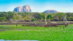 Merveilles de la nature