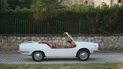 Million Dollar Car Hunters