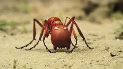 Minuscule E09 Histoire vache