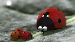 Minuscule S01E78 Mouche bizarre