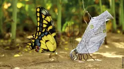 Minuscule S02E68 Labyrinthe