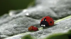 Minuscule S02E68 Labyrinthe