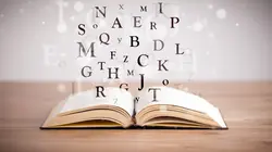 Monsieur dictionnaire