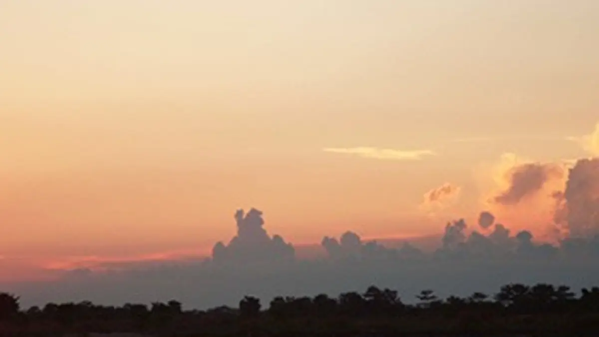 Casting Mousson E02 La saison des pluies