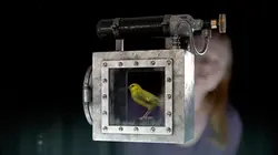 Mystérieux objets La machine prophétique