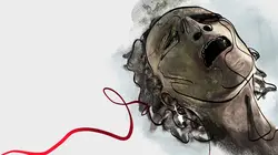 Mystérieux objets Le disque de l'étrange