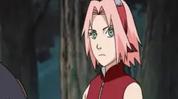 Naruto Shippuden S02E06 Simulation