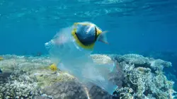 News de Nature : pour une réconciliation