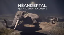 Néandertal : qui a tué notre cousin ?