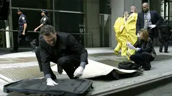 New York, section criminelle