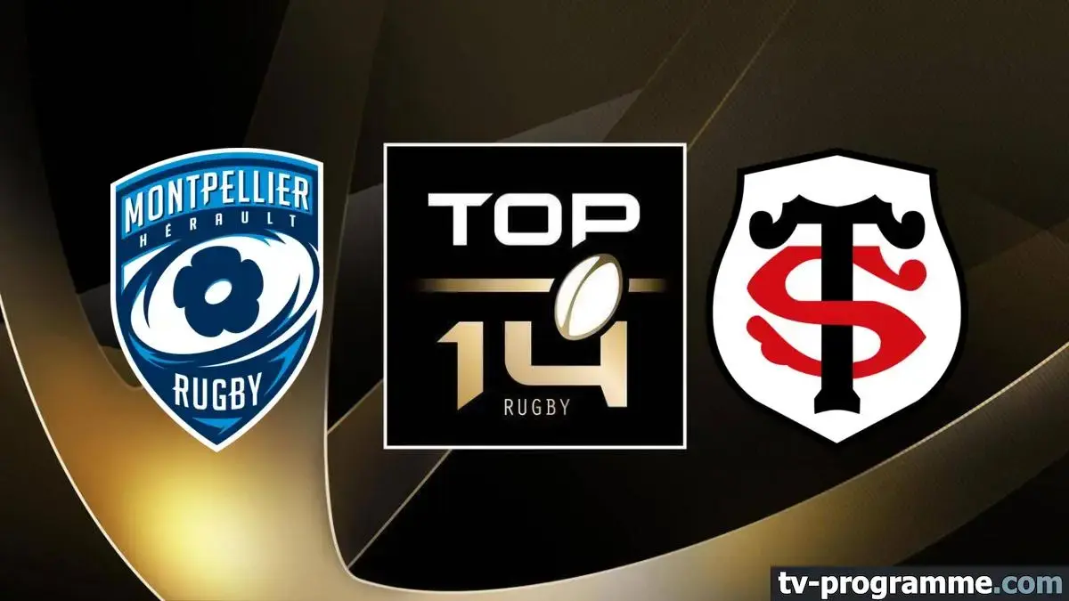 Top 14 : programme des matchs de rugby en direct à la TV ce week-end