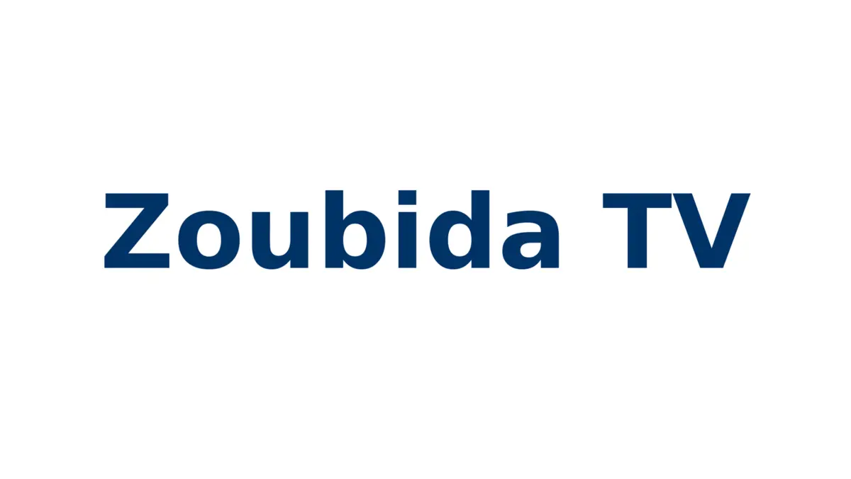 Cyril Hanouna : Nouveau départ sur W9 et Zoubida TV