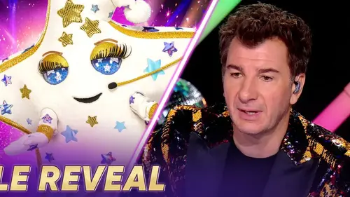 Mask Singer : qui se cachait sous les costumes du Doudou et de Lady Saucisse ? (vidéo)
