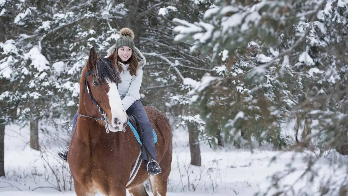 Casting Nordik Chili : Araucanie