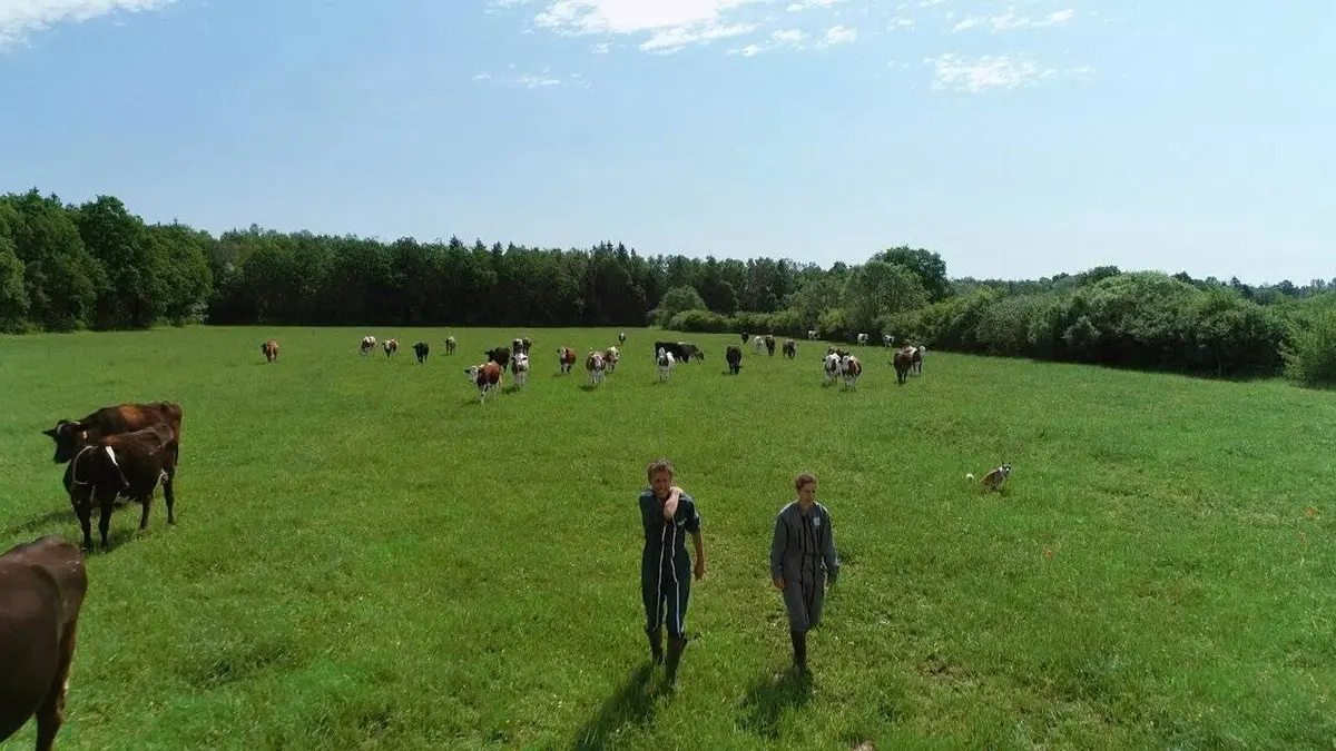 Audiences TV : Nos prairies valent de l'or