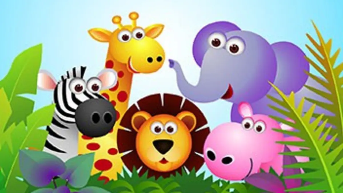 Nouvel Animé à J+1