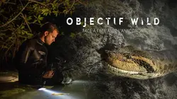 Casting Objectif Wild Face à face avec l'anaconda