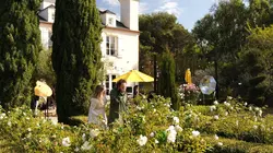 On the Verge en streaming