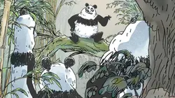 Pandas dans la brume Mignon