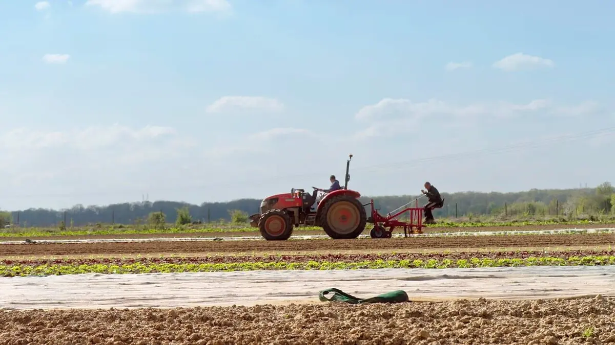 Pas de repos pour Marco replay