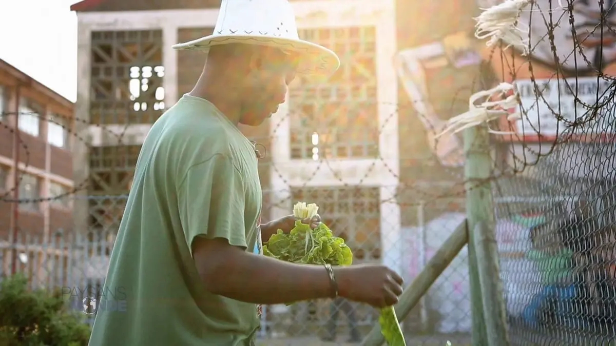 Paysans du monde Irlande